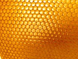 beeswax